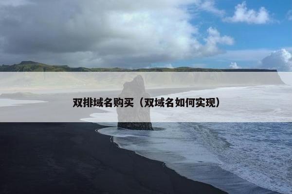 双排域名购买（双域名如何实现）