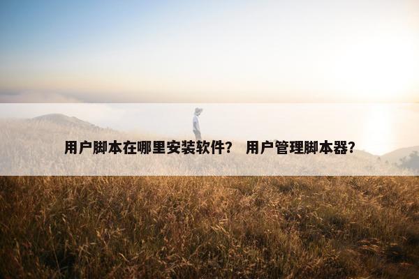 用户脚本在哪里安装软件？ 用户管理脚本器？