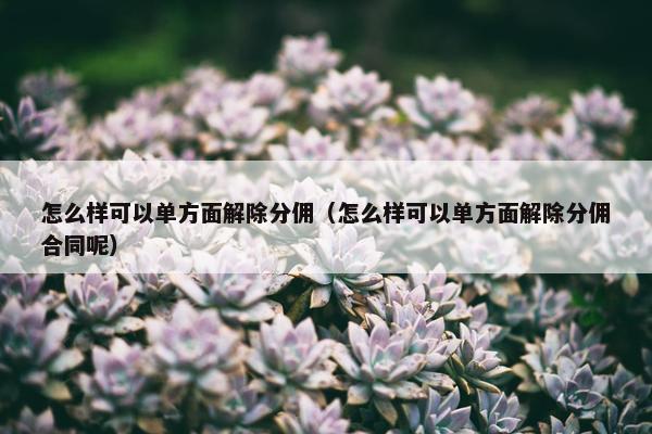 怎么样可以单方面解除分佣（怎么样可以单方面解除分佣合同呢）