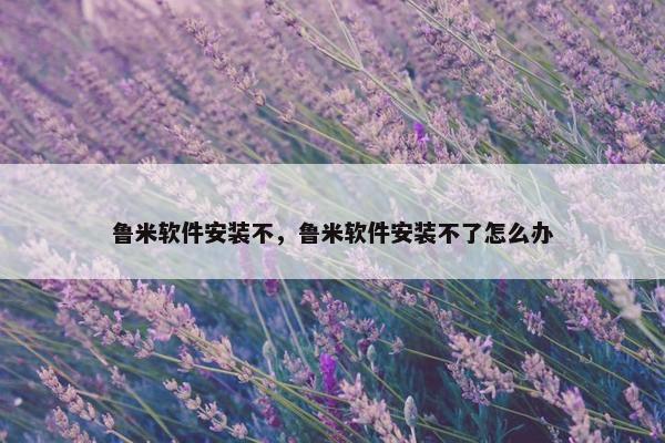 鲁米软件安装不，鲁米软件安装不了怎么办