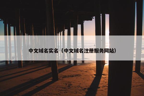 中文域名实名（中文域名注册服务网站）