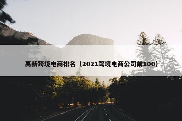 高新跨境电商排名（2021跨境电商公司前100）