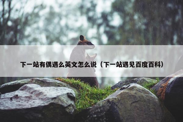 下一站有偶遇么英文怎么说（下一站遇见百度百科）