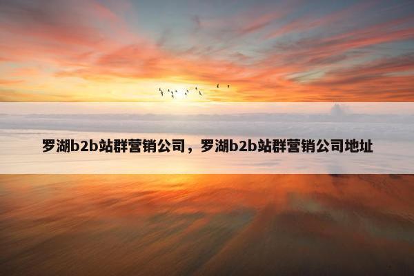 罗湖b2b站群营销公司，罗湖b2b站群营销公司地址
