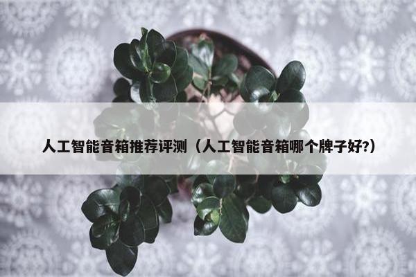 人工智能音箱推荐评测（人工智能音箱哪个牌子好?）