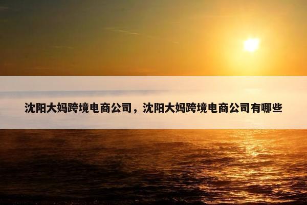 沈阳大妈跨境电商公司，沈阳大妈跨境电商公司有哪些