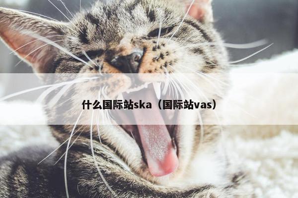 什么国际站ska（国际站vas）