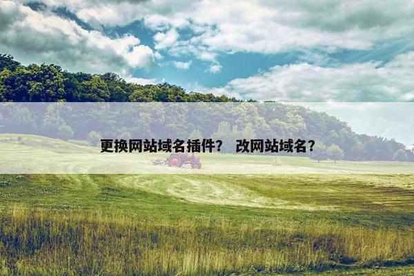 更换网站域名插件？ 改网站域名？
