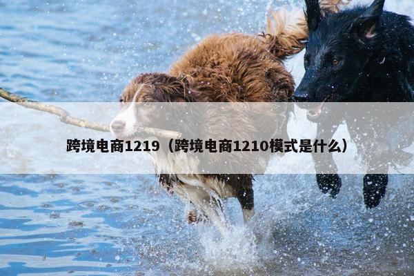 跨境电商1219（跨境电商1210模式是什么）