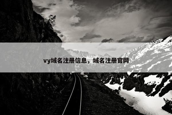 vy域名注册信息，域名注册官网