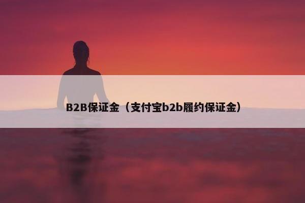 B2B保证金（支付宝b2b履约保证金）