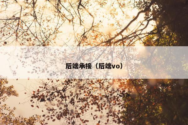 后端承接（后端vo）