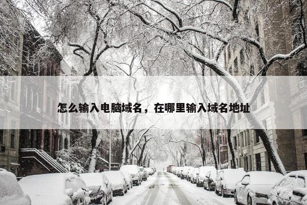 怎么输入电脑域名，在哪里输入域名地址