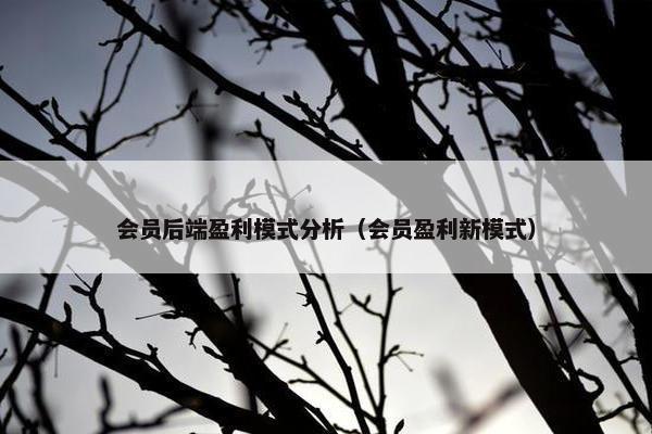 会员后端盈利模式分析（会员盈利新模式）