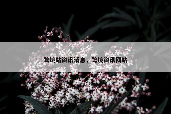 跨境站资讯消息，跨境资讯网站
