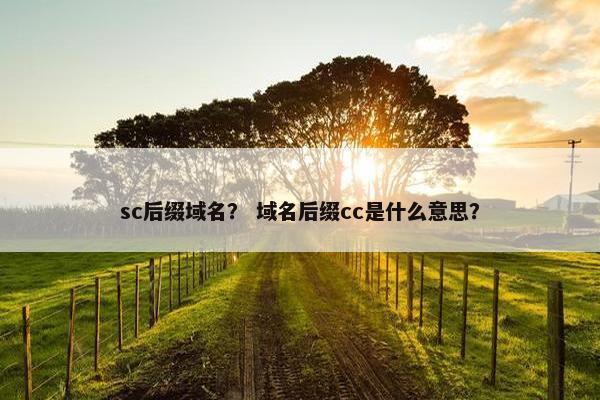 sc后缀域名？ 域名后缀cc是什么意思？