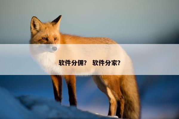 软件分佣？ 软件分家？