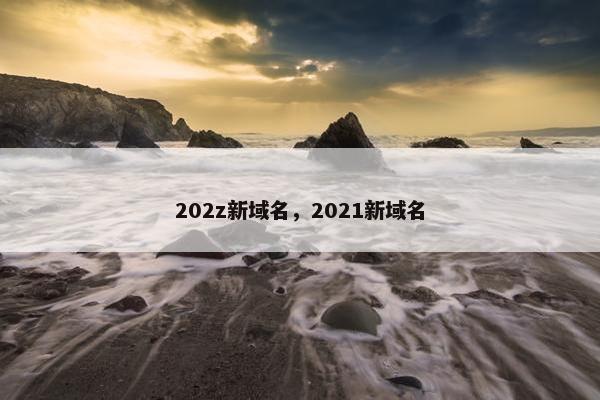 202z新域名，2021新域名
