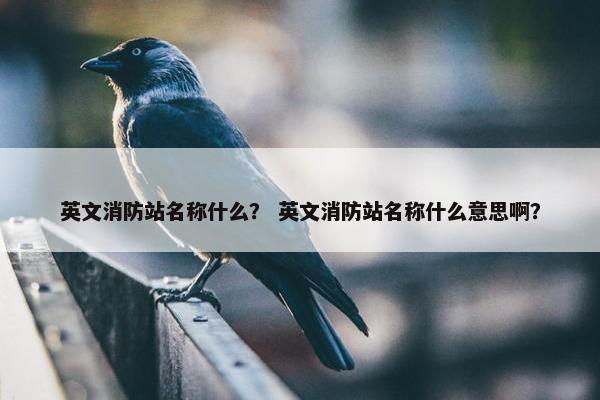 英文消防站名称什么？ 英文消防站名称什么意思啊？