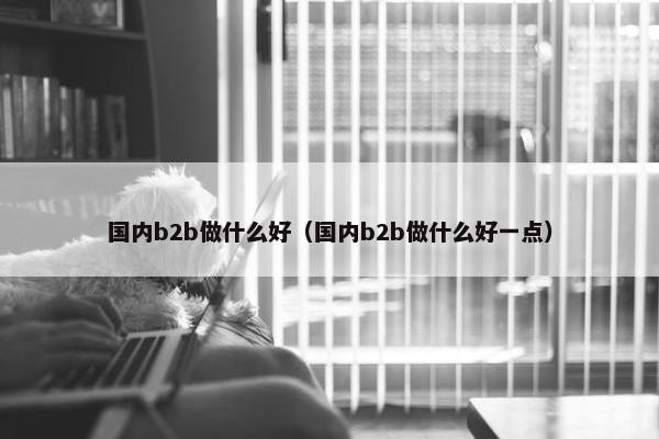 国内b2b做什么好（国内b2b做什么好一点）