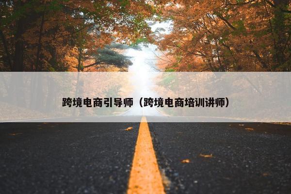 跨境电商引导师（跨境电商培训讲师）