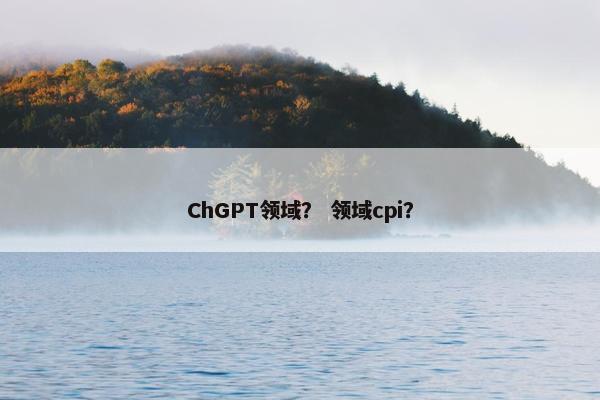 ChGPT领域？ 领域cpi？
