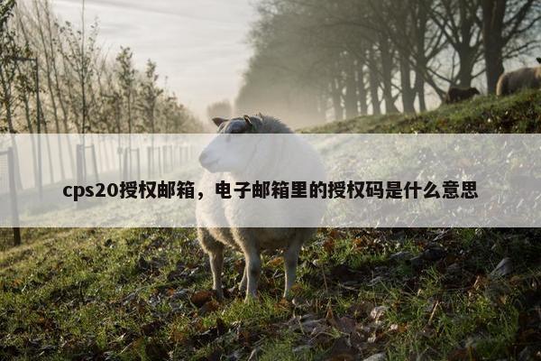cps20授权邮箱，电子邮箱里的授权码是什么意思