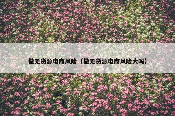 做无货源电商风险（做无货源电商风险大吗）