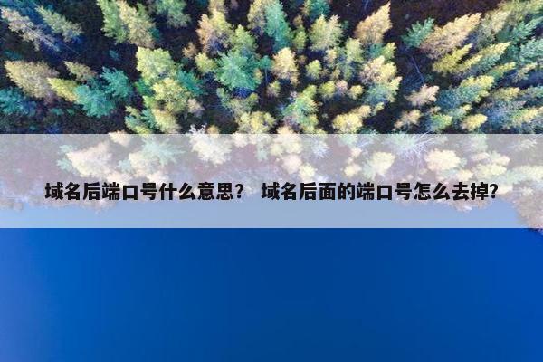 域名后端口号什么意思？ 域名后面的端口号怎么去掉？