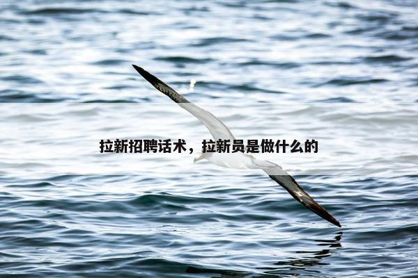 拉新招聘话术，拉新员是做什么的