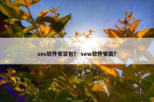 ses软件安装包？ sew软件安装？