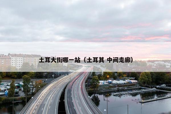 土耳大街哪一站（土耳其 中间走廊）