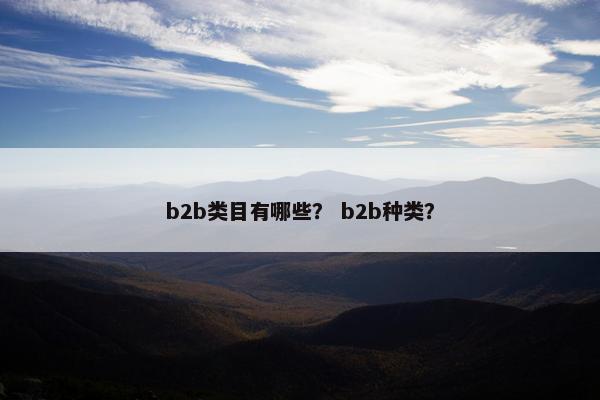 b2b类目有哪些？ b2b种类？