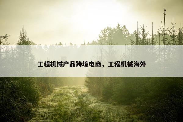 工程机械产品跨境电商，工程机械海外