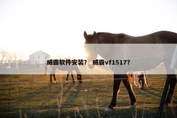 威霸软件安装？ 威霸vf1517？