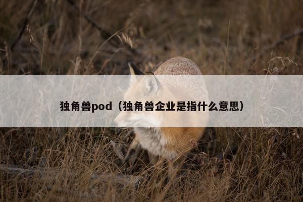 独角兽pod（独角兽企业是指什么意思）