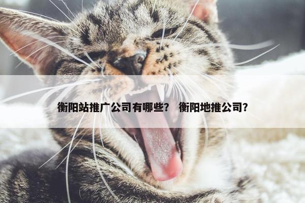 衡阳站推广公司有哪些？ 衡阳地推公司？