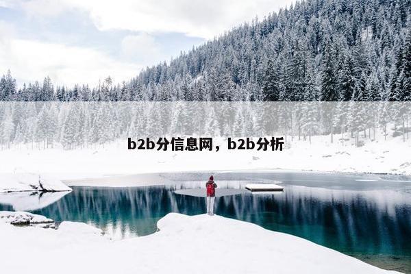 b2b分信息网，b2b分析