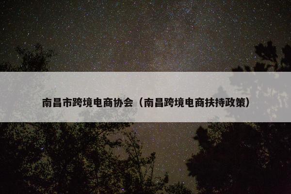 南昌市跨境电商协会（南昌跨境电商扶持政策）