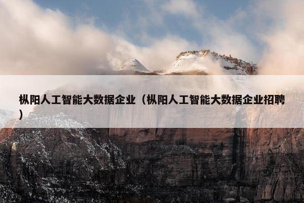 枞阳人工智能大数据企业（枞阳人工智能大数据企业招聘）