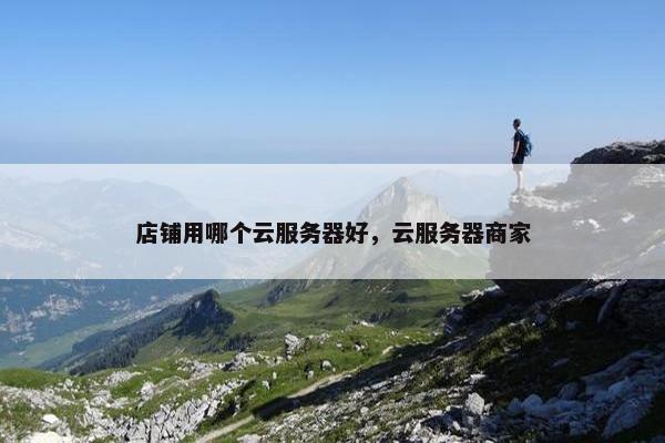 店铺用哪个云服务器好，云服务器商家