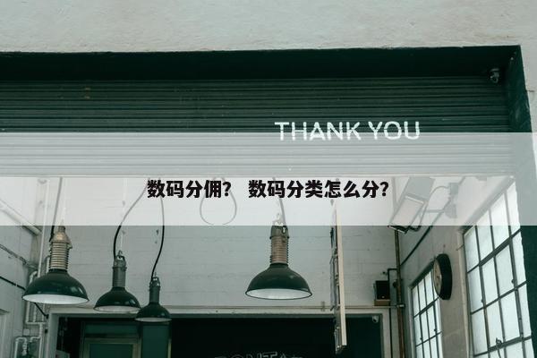 数码分佣？ 数码分类怎么分？