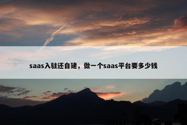 saas入驻还自建，做一个saas平台要多少钱