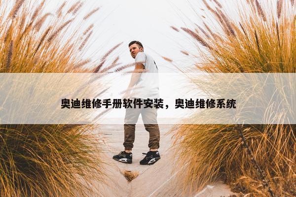奥迪维修手册软件安装，奥迪维修系统