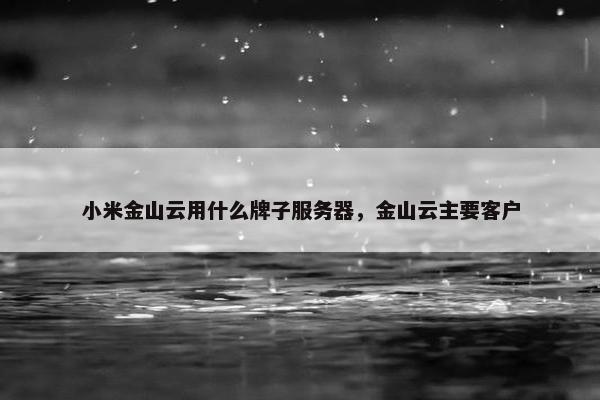 小米金山云用什么牌子服务器，金山云主要客户