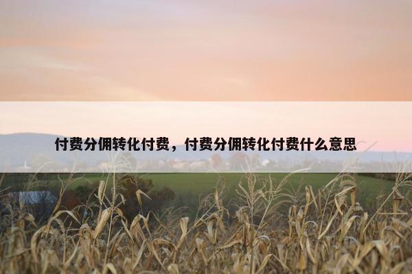 付费分佣转化付费，付费分佣转化付费什么意思