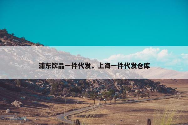 浦东饮品一件代发，上海一件代发仓库