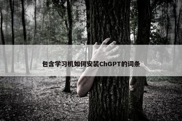 包含学习机如何安装ChGPT的词条