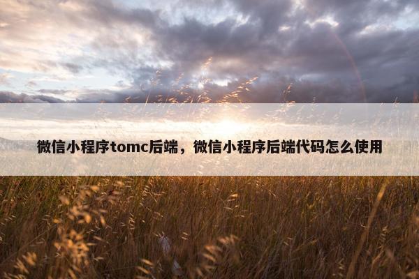 微信小程序tomc后端，微信小程序后端代码怎么使用