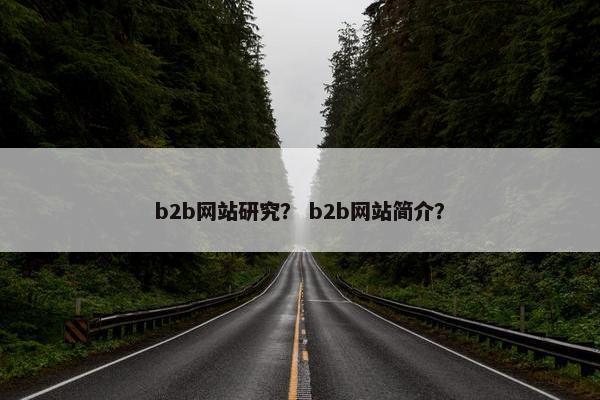 b2b网站研究？ b2b网站简介？